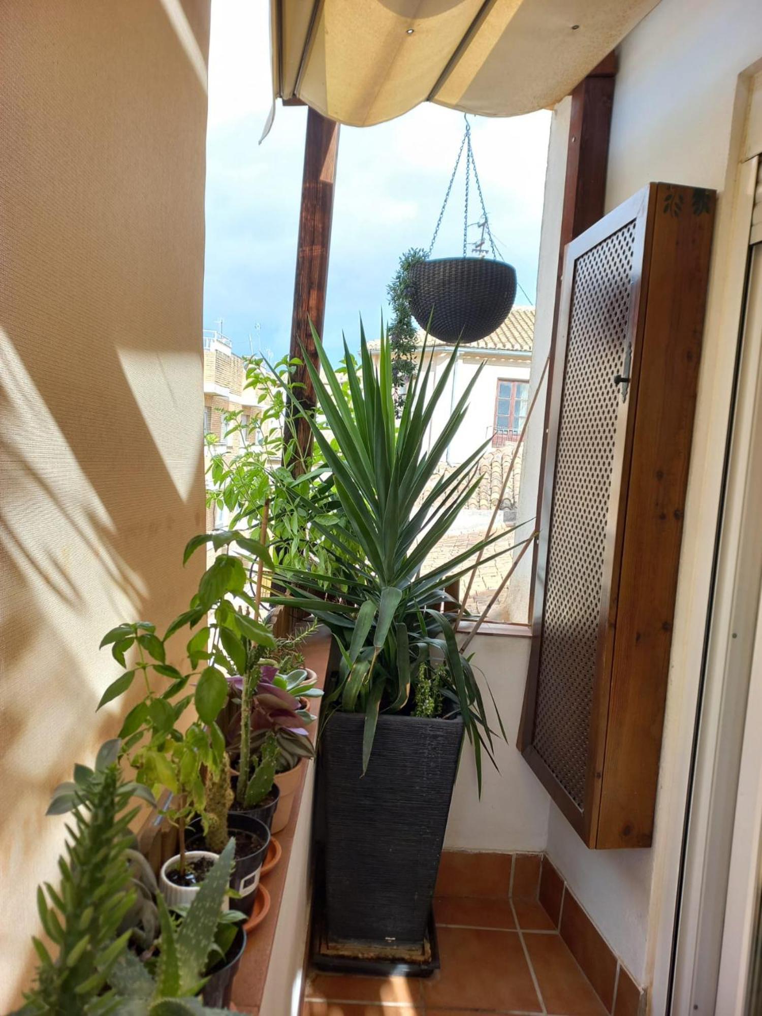 Atico Exclusivo En El Centro De Granada Apartment Ngoại thất bức ảnh