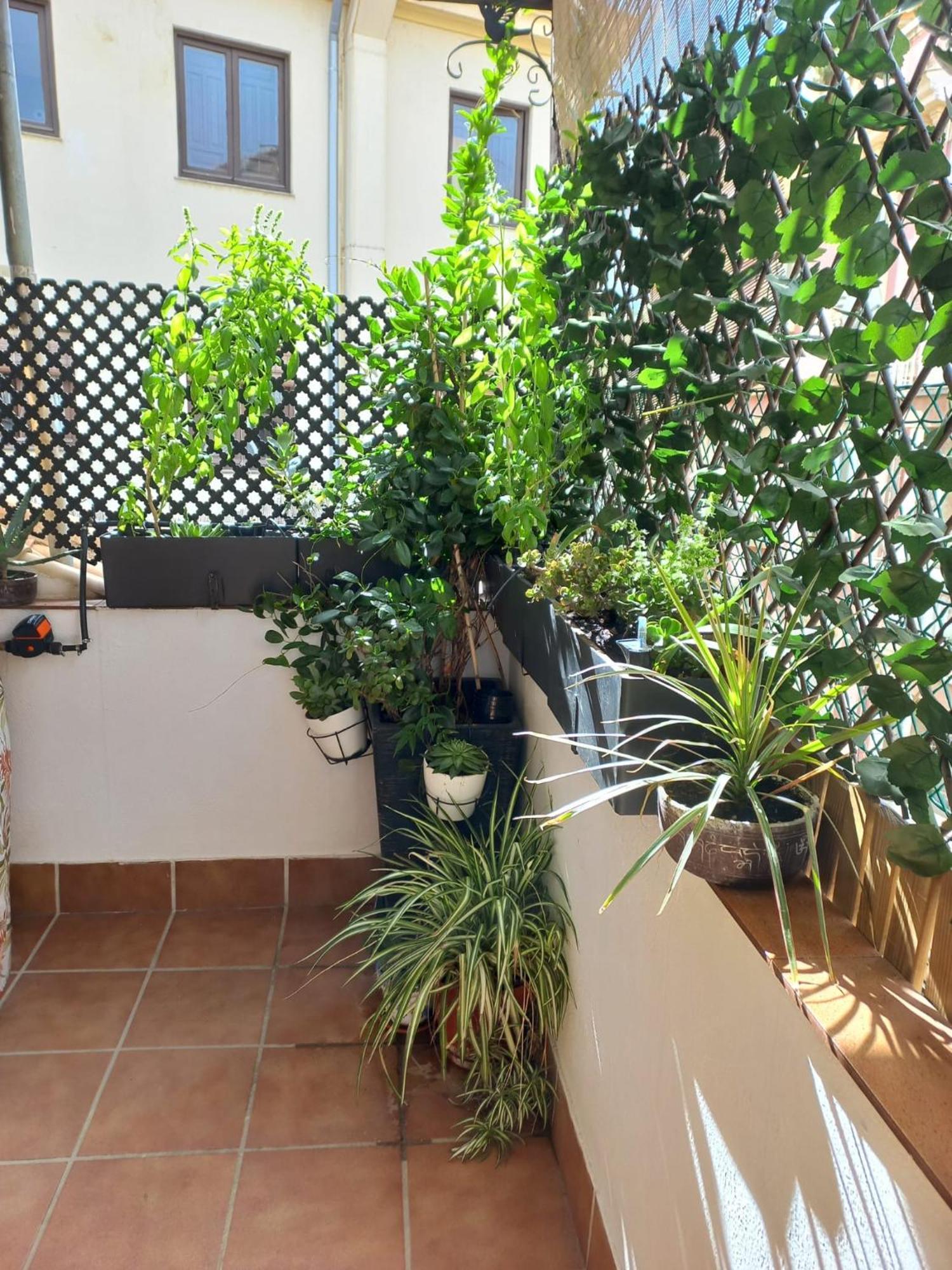 Atico Exclusivo En El Centro De Granada Apartment Ngoại thất bức ảnh
